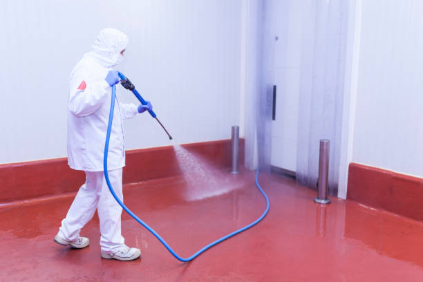 Best Spring Cleaning  in Willow, AK