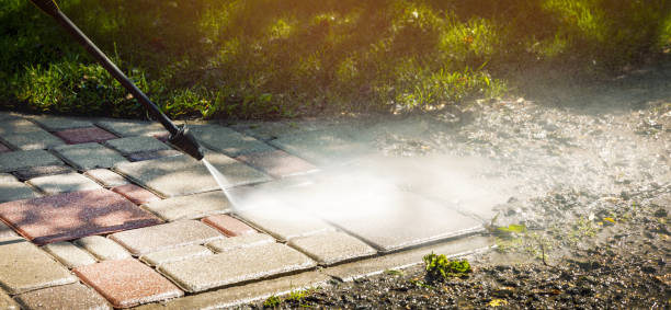 Best Animal Enclosure Cleaning  in Willow, AK